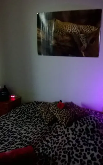 Katje/Teigetje xxx